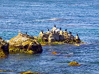 Monterey 3